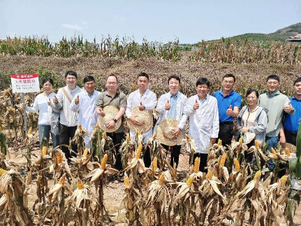 图片15.png 图片15.png