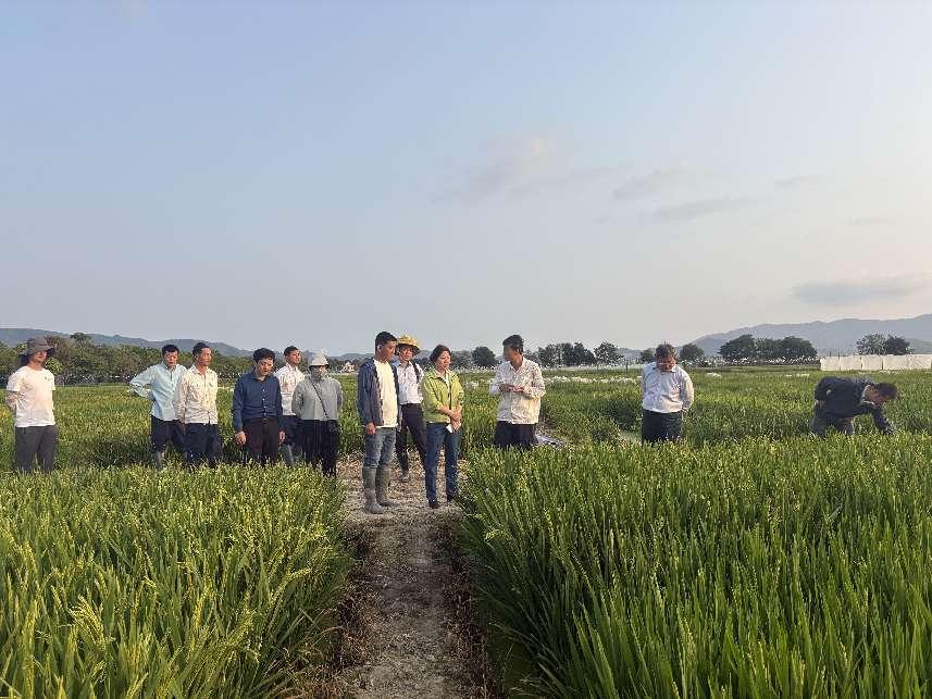 图片13.png 图片13.png