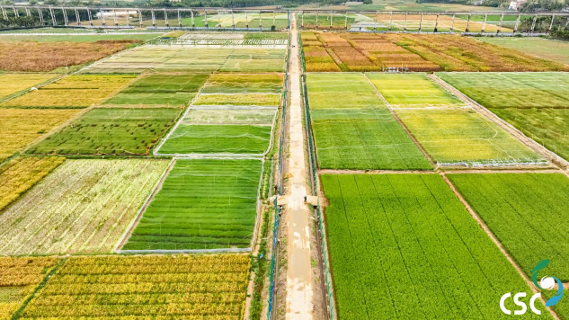 图片16.png 图片16.png