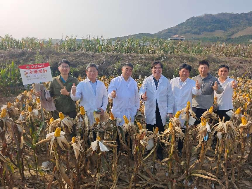 图片14.png 图片14.png