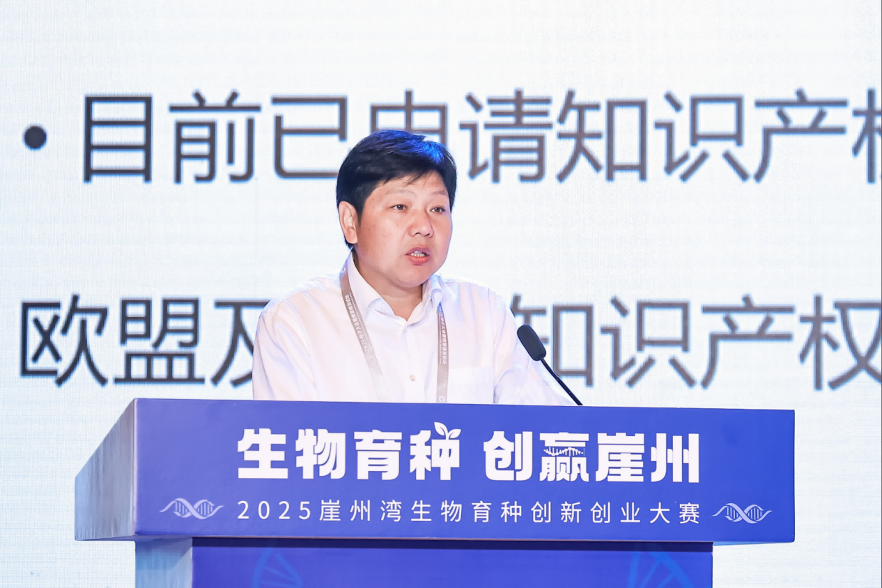 图片11.png 图片11.png